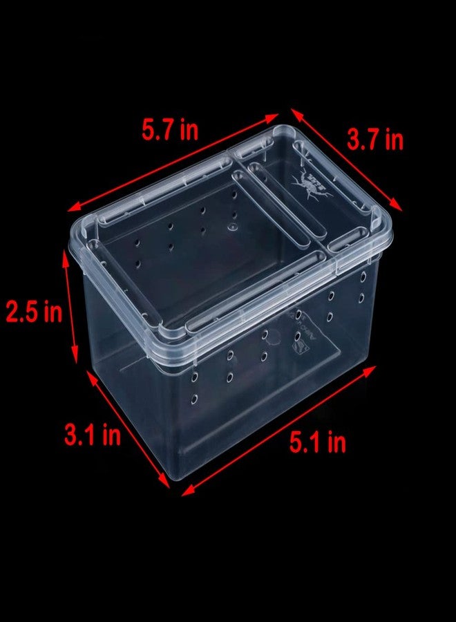 DQITJ 5 Pcs Spider Small Terrariums Breeding Box Transparent Hatching Container Plastic Feeding Box for Small Reptile Spider Scorpion Centipede Insect - Image 5